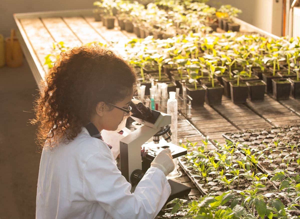 Análisis de plantas en laboratorio