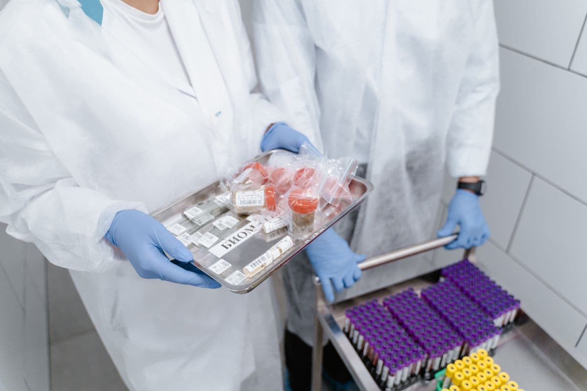 Extracción y formulación